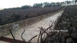 b_150_100_16777215_00_images_lubelskie_belzec3.jpg