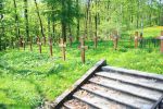 b_150_100_16777215_00_images_malopolskie2_kalwaria_cment.jpg